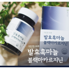 HACCP 휴나인 대단한 하루 발효흑마늘 블랙마카르지닌 500mg 60정, 1개