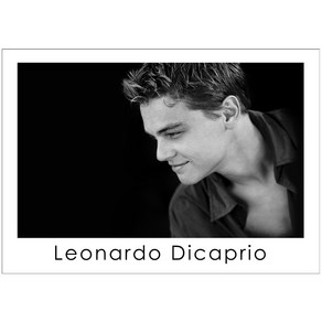 조이포스터 TBM-493 레오나르도 디카프리오 Leonado DiCapio 영화 포스터 브로마이드 흑백 셀럽 배우 가로형