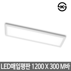 하이디 LED매입평판등모음 면조명 M바 서울반도체칩, 1200x300 M바