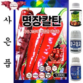 명장칼탄 1200립 현대종묘 25년 고추씨앗 고추종자, 1개