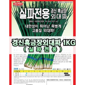 실파씨앗 흑금장 대용량 1kg 파종용 종자 경신종묘, 1개