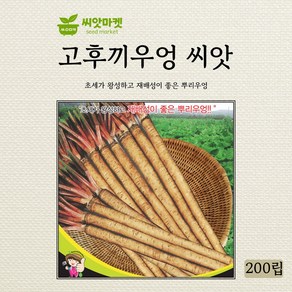 세계종묘 고후끼우엉 씨앗 200립, 1개