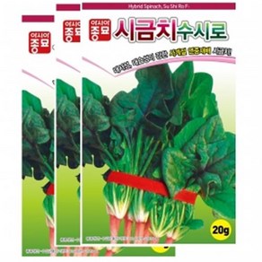 아시아종묘 씨앗 시금치 수시로 20g 3ea, 3개