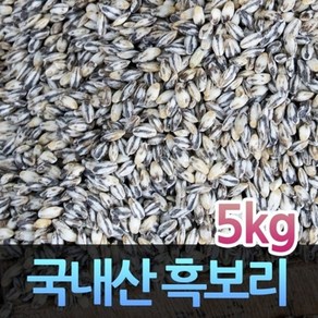 자연애 고인돌 국내산흑보리 5kg