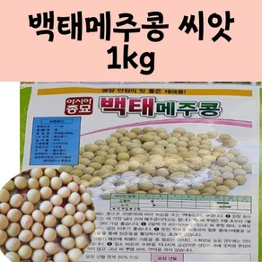 아시아종묘 씨앗 콩 백태 1kg 메주콩, 1개