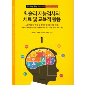 웩슬러 지능검사의 치료 및 교육적 활용:느린 학습자 학습 및 주의력 문제를 가진 아동