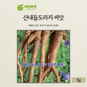 KS종묘 산내들도라지 씨앗 5g 재배가 쉽고 맛이 더 좋아진 국내산 고급 품종 종자, 1개