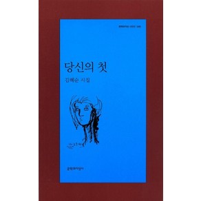 당신의 첫 (문학과지성 시인선 345)