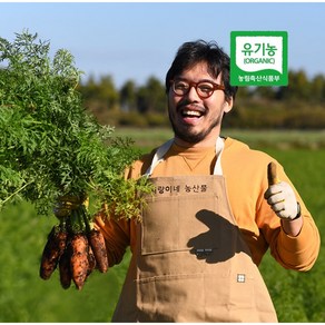 [농슐랭] 제주 유기농 무농약 흙당근 친환경 겨울당근 ABC주스 쥬스용