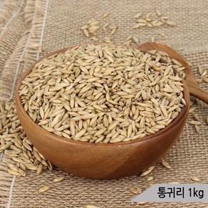 건강알곡 통귀리 1Kg 앵무새 햄스터 소동물 영양간식, 1개