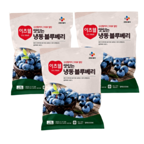 CJ프레시웨이 이츠웰 맛있는 냉동 블루베리, 1kg, 3개