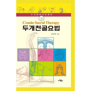 두개천골요법:두개골의 리모델링, 지우출판, 김선애 저