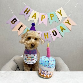 설드독 강아지 고양이 생일 축하파티 세트 스카프 + 모자 + 케이크장난감 + 가랜드 (퍼플), 퍼플, 1개