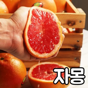 과일 자몽 레드자몽 플로리다 이스라엘 루비자몽 특대과 10과 20과, 특대과 380g내외, 5개