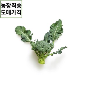 제주 햇 브로콜리 5kg, 1개