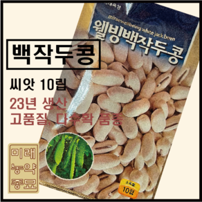 백작두콩 씨앗 10립, 1개