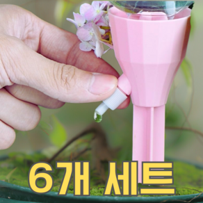 피코큐브 화분 자동 급수기 세트, 혼합컬러, 6개