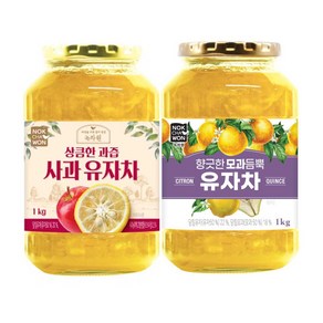 녹차원 사과과즙 유자차 1kg+모과듬뿍 유자차 1kg+스티로폼 안전포장, 1개, 1000g, 1개입