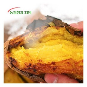 농협청과33번 [농협청과33번] 당도높은 꿀고구마 10kg 긴특/긴상, 1개