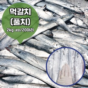 먹갈치(실속형) 풀치 목포 산지직송 조림 젓갈 구이용 10마리 내외(손질전 1.5kg) 24마리 내외(손질전 3kg), 1세트