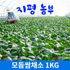 [물맑은 양평] GAP인증 지평 농부 모듬쌈채소(1kg), 1kg, 1개