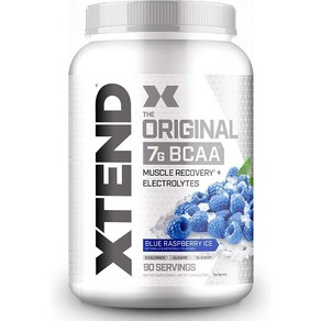 Scivation 엑스텐드 BCAA 90서빙 헬스부스터 블루라즈베리맛 헬스보충제