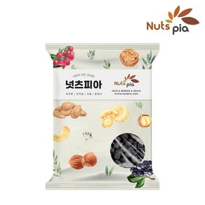 넛츠피아 건블루베리, 1개, 500g