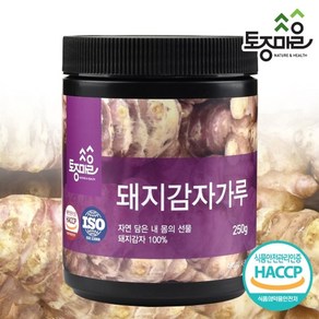 토종마을 HACCP인증 돼지감자가루, 1개, 250g