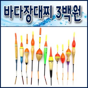 민장대 바다장대찌 민장대찌 1