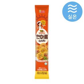 롯데햄 한아름소시지480g, 480g, 15개