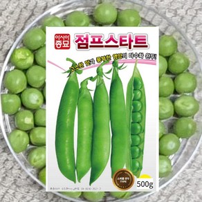 완두콩씨앗 대포장 점프스타트 500g 1개 스파클완두콩 아시아