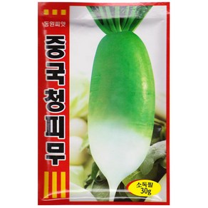 중국청피무씨앗 30g, 중국청피무, 1개