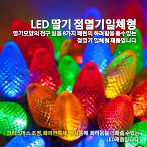 LED 딸기전구 점멸기 일체형/스트링전구/인테리어조명/크리스마스전구/은하수/점멸기포함, 투명선-컬러, 1개