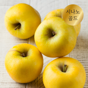 산지직송 고당도 햇 시나노골드 스위트 황금사과 3kg