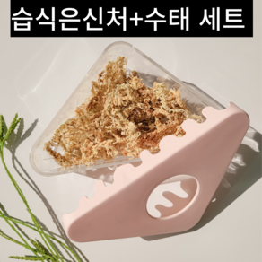 이지크레 도마뱀 습식 은신처 크레스티드 게코 산란통, 1개, 핑크