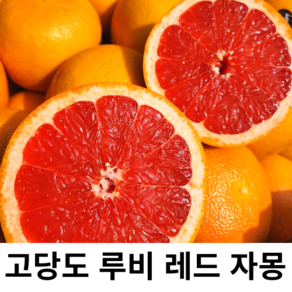 생 자몽 레드자몽 루비자몽 남아공 캘리포니아 플로리다, 1박스, 중과10개입(개당320g내외)