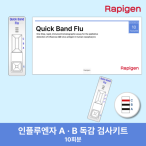 독감검사 인플루엔자 검사 키트 A형 B형 10개, 1개, 10매입