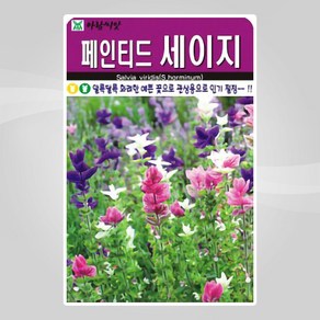 슬로시 허브씨앗 페인티드 세이지 100립, 1개