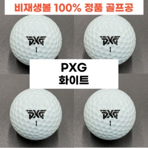 빅샷로스트볼 PXG 화이트 A+ A급 20구 깨끗한 로스트볼 골프공 추천, 1개, 20개입, 화이트 A+급