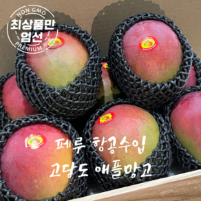 신신마트 고당도 페루 애플망고 특상품, 1세트, 애플망고 4kg(8-10수)