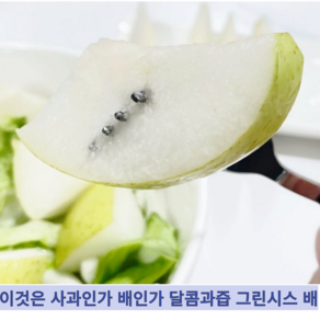 [국내산] 청량하고 과즙팡팡 신품종 사과같은 황금배 바틀렛 그린시스 배, 1개, 5kg
