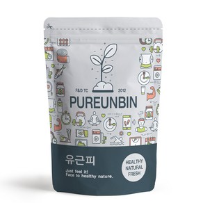 푸른빈 유근피 느릅나무껍질 국내산 경북영천, 300g, 1개