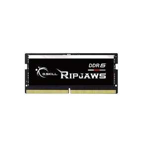 G.SKILL Ripjaws DDR5 SO-DIMM 시리즈 RAM 16GB (1x16GB) 5600MT/s CL46-45-45-89 1.10V 언버퍼드 Non-ECC 노트북/노, 16GB (1x16GB)_DDR5-5600 CL46-4, 1개