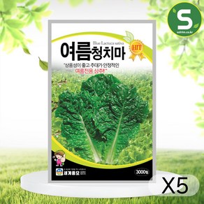 여름청치마 3000립 상추씨앗 여름 전용 상추 다수확, 5개