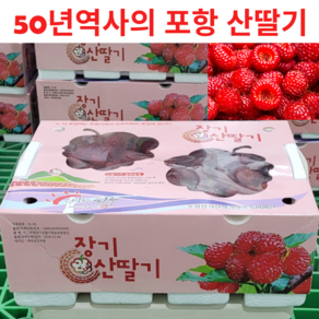 50년역사 고당도 GAP인증 산딸기