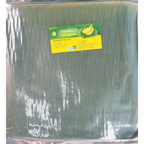 베트남산 바바나잎 Fesh Banana Leaves 1kg, 1개