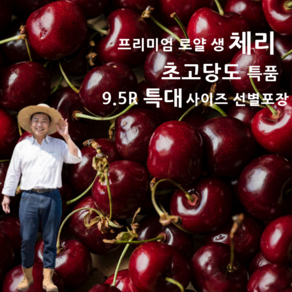 [항공 직수입] 칠레산 로얄 생 체리 고당도 프리미엄 특품 선별포장, 1개, 1kg