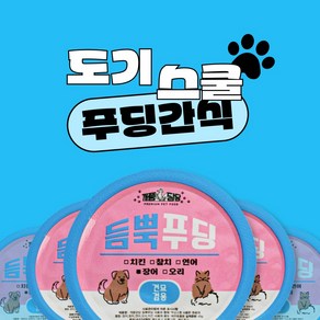 도기스쿨 반려동물 강아지 고양이 캔 간식 푸딩 치킨 장어 참치 연어 3캔