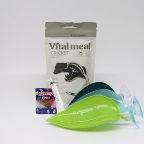 [바이탈밀 인섹트] 슈퍼푸드 80g 크레스티드게코 슈퍼푸드 사료 먹이 VITAL MEAL INSECT, 1개