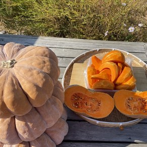 간편하게 먹는 호박채 손질 늙은호박 1Kg 국산 남원농장, 1개